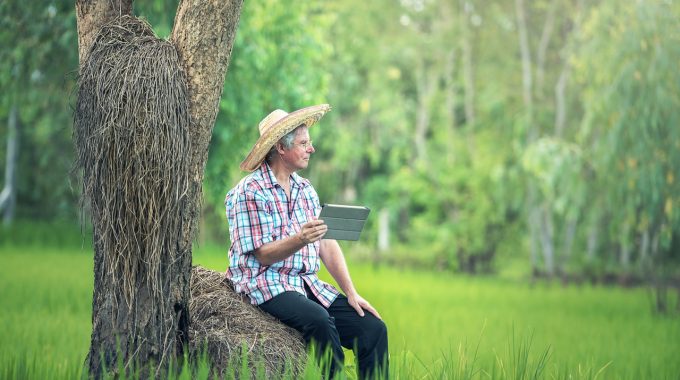 Grüne Woche: Mehr Digitalisierung In Der Landwirtschaft